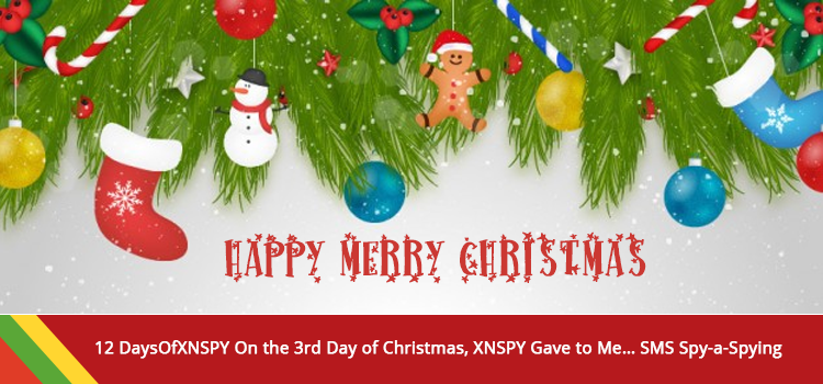 Xnspy Christmans 3th day