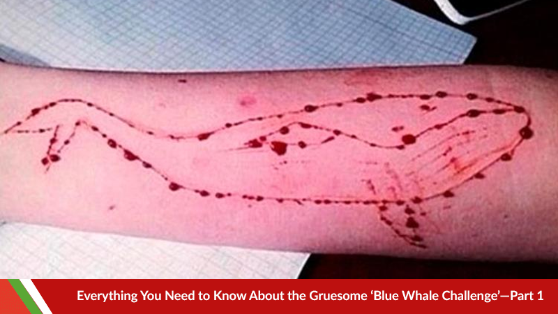 Everything You Need to Know About the Gruesome ‘Blue Whale Challenge’—Part 1