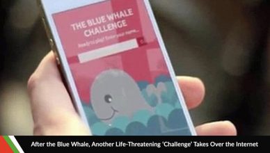 Blue Whale Challenge