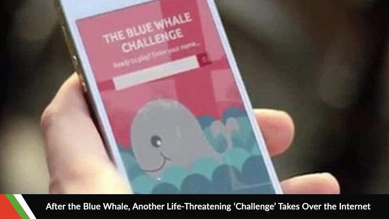 Blue Whale Challenge