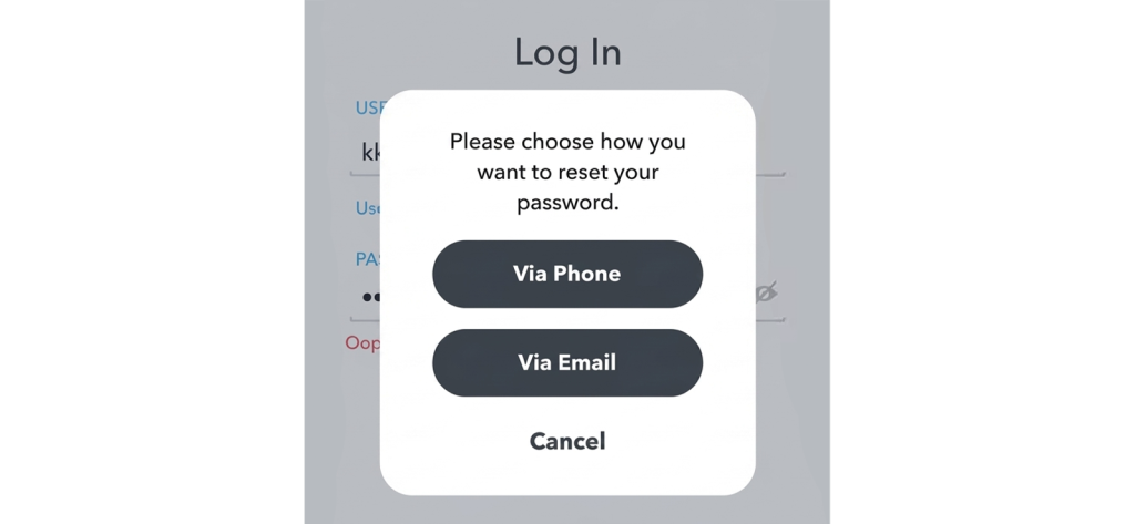 2. Reset Password via Parent-Controlled Phone or Email