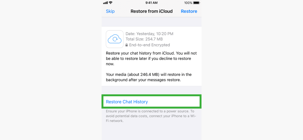 6. Try Out iCloud Backup (iPhone)
