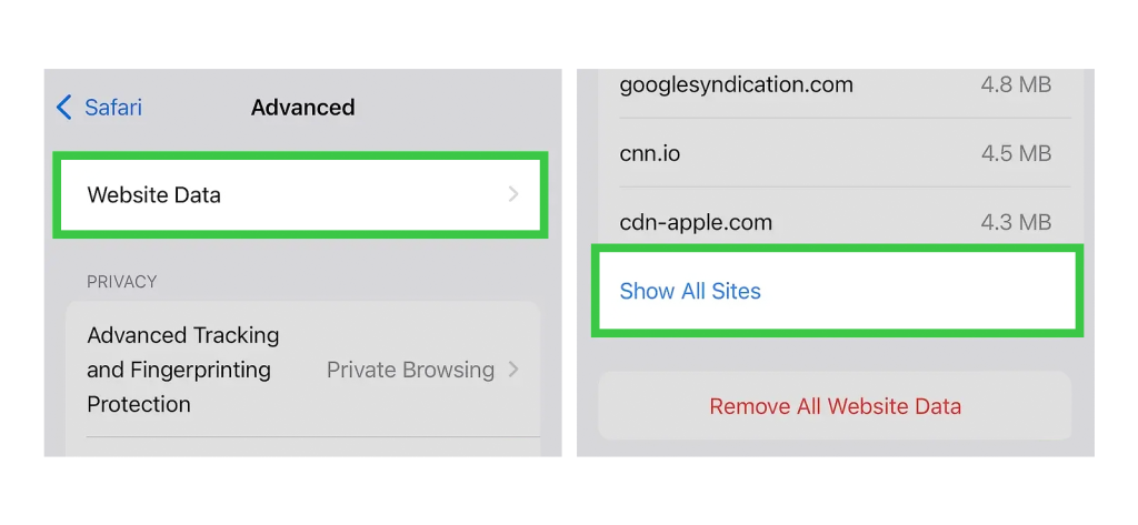 5. Find Safari Website Data