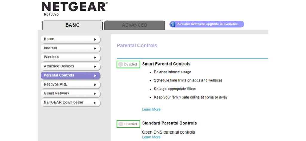 5. Use Router or DNS Controls