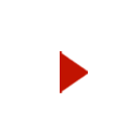 Video Red Icon